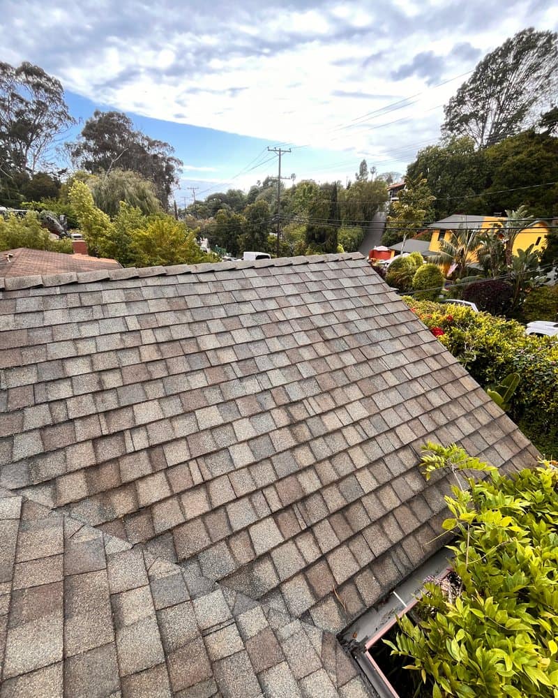 Tile roof cleaned on the South Coast